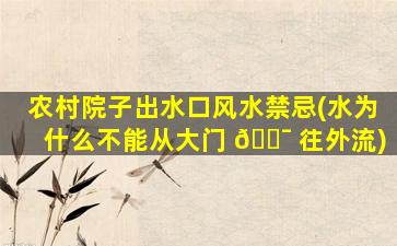 农村院子出水口风水禁忌(水为什么不能从大门 🐯 往外流)